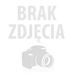 Sekretarzyk zdobiony